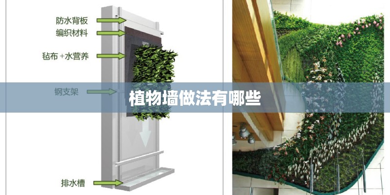 植物墙做法有哪些