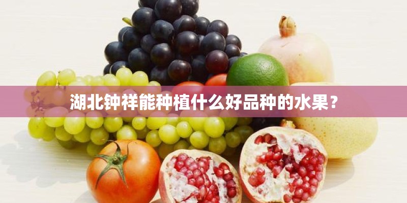 湖北钟祥能种植什么好品种的水果？