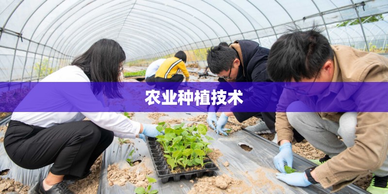农业种植技术