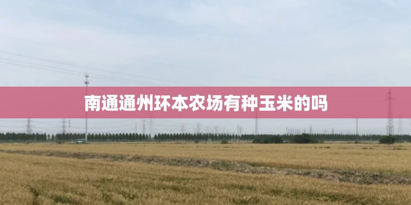 南通通州环本农场有种玉米的吗