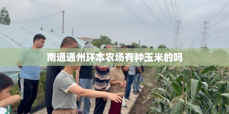 南通通州环本农场有种玉米的吗
