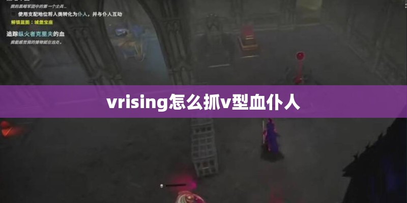 vrising怎么抓v型血仆人