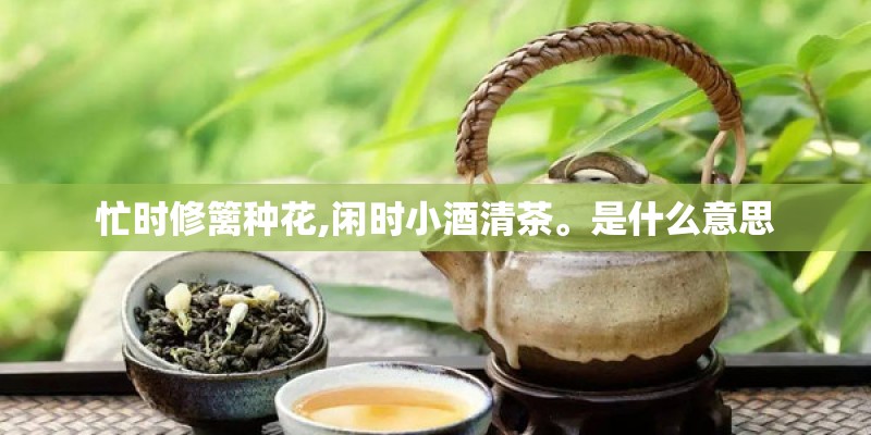 忙时修篱种花,闲时小酒清茶。是什么意思