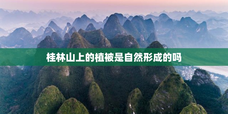 桂林山上的植被是自然形成的吗