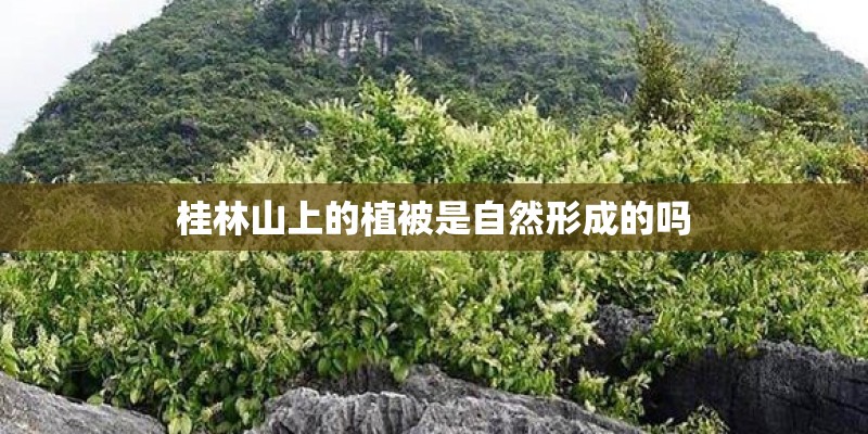 桂林山上的植被是自然形成的吗