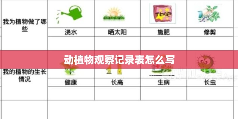 动植物观察记录表怎么写