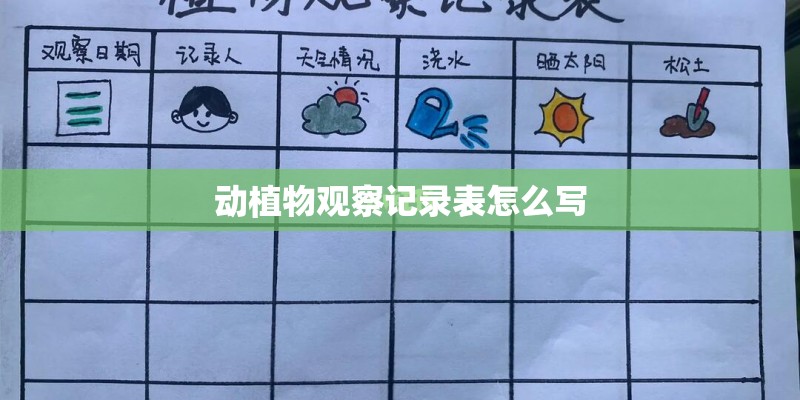 动植物观察记录表怎么写