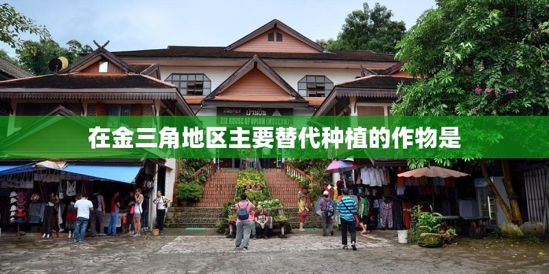 在金三角地区主要替代种植的作物是