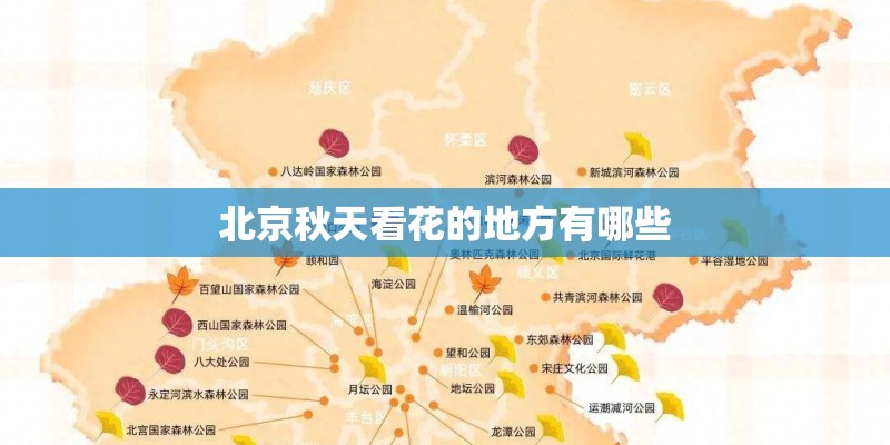 北京秋天看花的地方有哪些