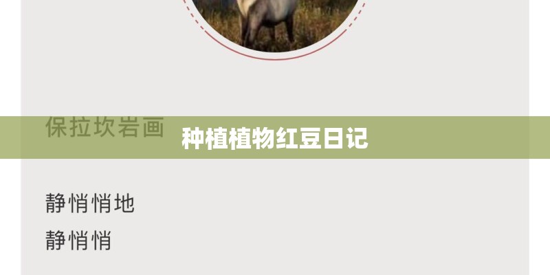 种植植物红豆日记