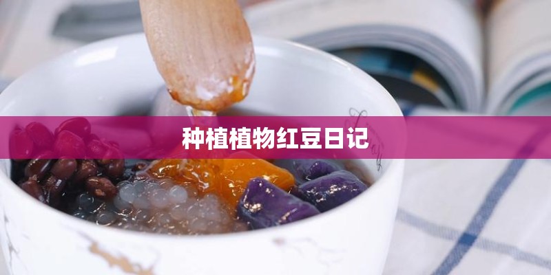 种植植物红豆日记