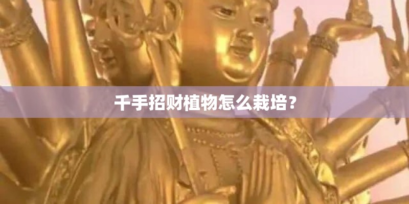 千手招财植物怎么栽培？