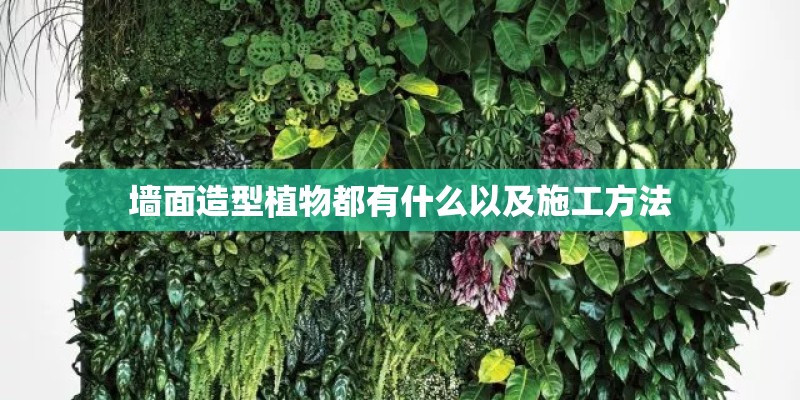墙面造型植物都有什么以及施工方法