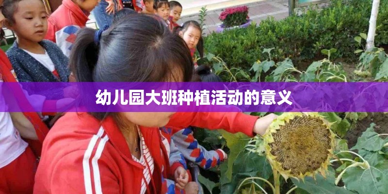 幼儿园大班种植活动的意义