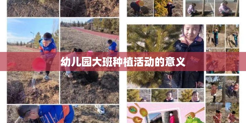 幼儿园大班种植活动的意义