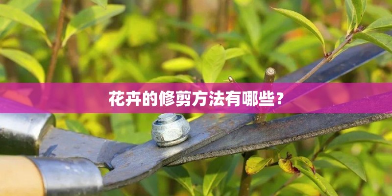 花卉的修剪方法有哪些？