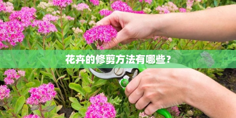 花卉的修剪方法有哪些？