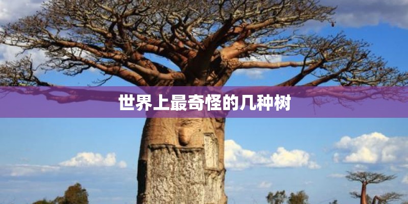 世界上最奇怪的几种树