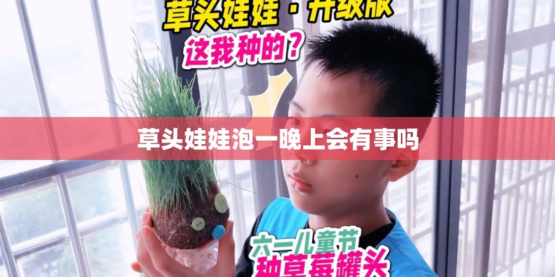 草头娃娃泡一晚上会有事吗