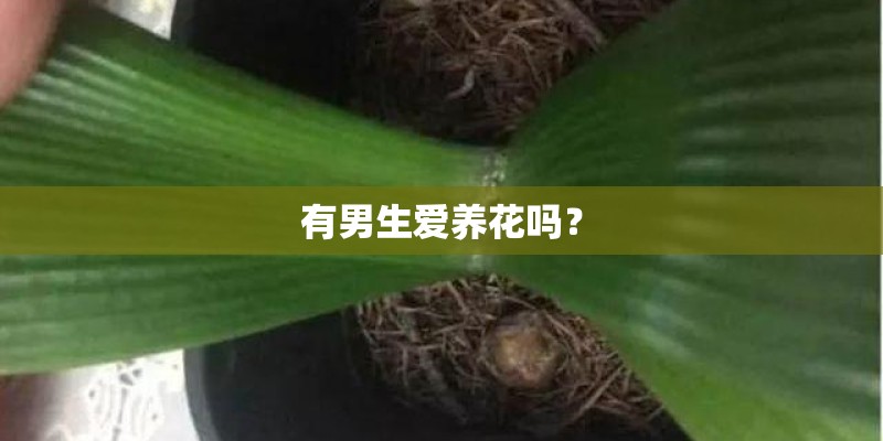 有男生爱养花吗？