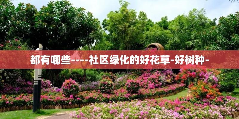 都有哪些----社区绿化的好花草-好树种-