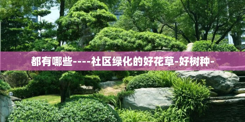都有哪些----社区绿化的好花草-好树种-