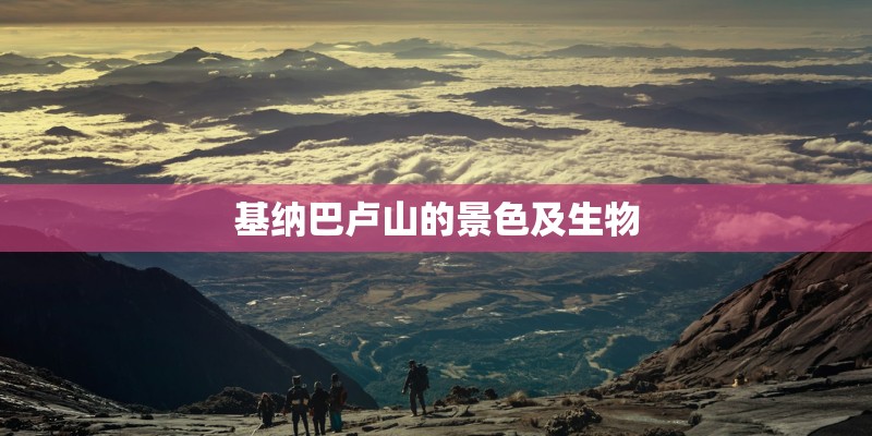 基纳巴卢山的景色及生物