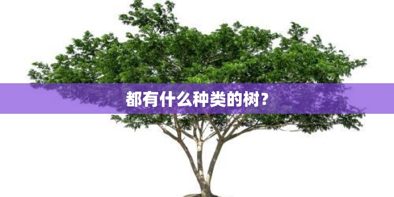 都有什么种类的树？