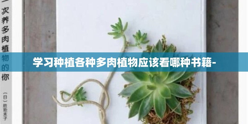 学习种植各种多肉植物应该看哪种书籍-