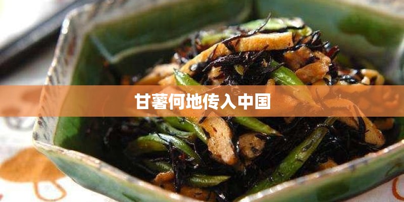 甘薯何地传入中国