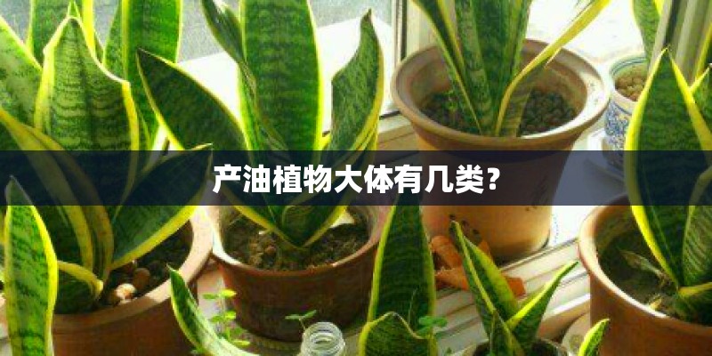 产油植物大体有几类？