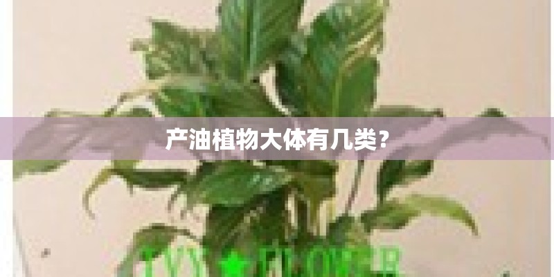 产油植物大体有几类？