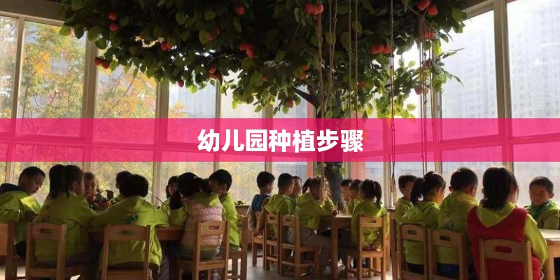 幼儿园种植步骤