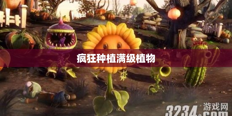 疯狂种植满级植物