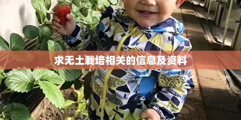 求无土栽培相关的信息及资料