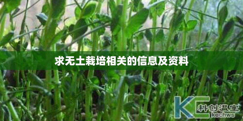 求无土栽培相关的信息及资料