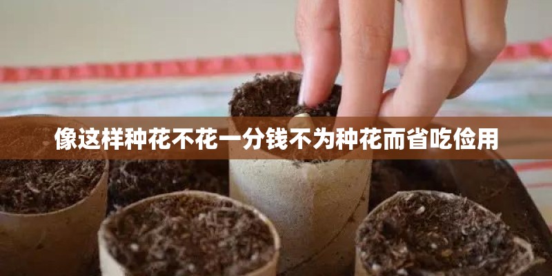 像这样种花不花一分钱不为种花而省吃俭用