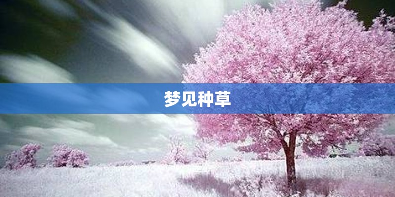 梦见种草