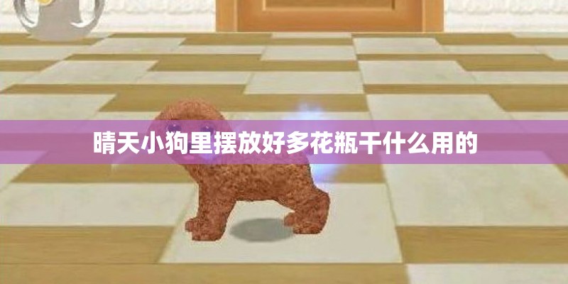 晴天小狗里摆放好多花瓶干什么用的