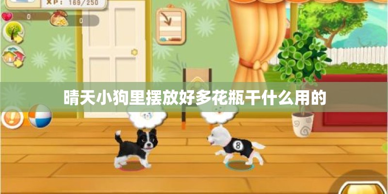 晴天小狗里摆放好多花瓶干什么用的