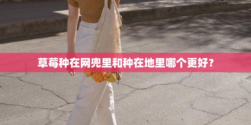 草莓种在网兜里和种在地里哪个更好？