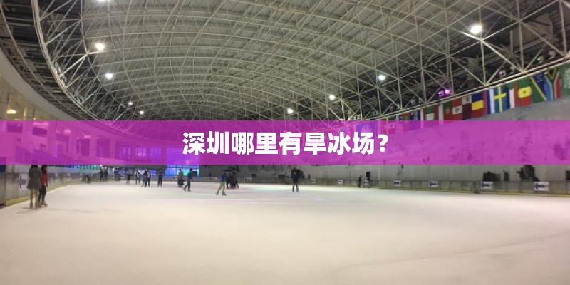 深圳哪里有旱冰场？