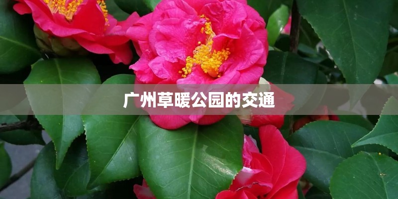 广州草暖公园的交通