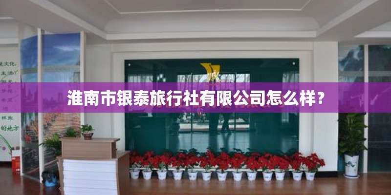 淮南市银泰旅行社有限公司怎么样？