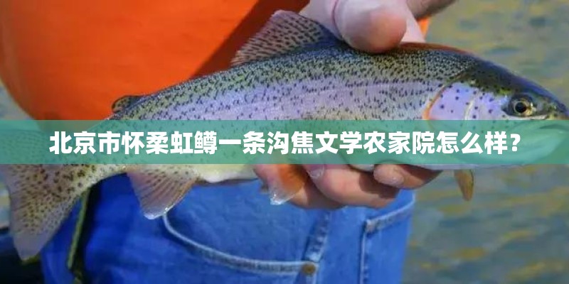 北京市怀柔虹鳟一条沟焦文学农家院怎么样？