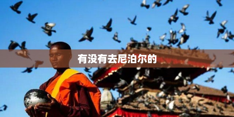 有没有去尼泊尔的