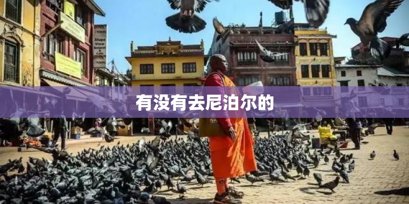 有没有去尼泊尔的