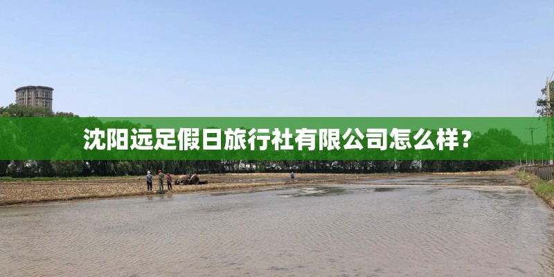 沈阳远足假日旅行社有限公司怎么样？