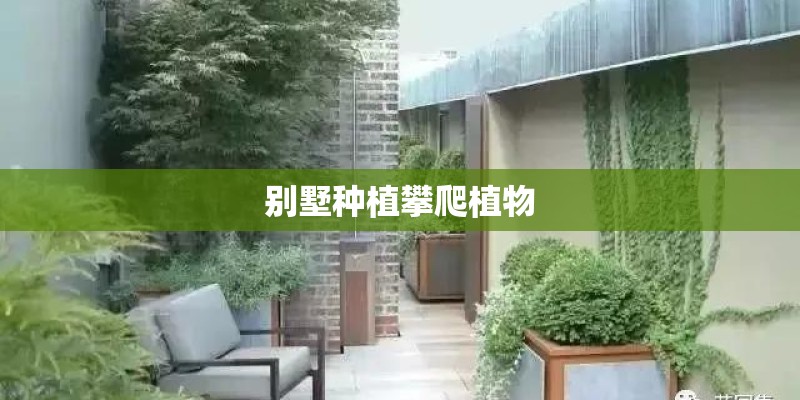 别墅种植攀爬植物