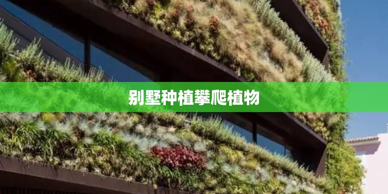 别墅种植攀爬植物